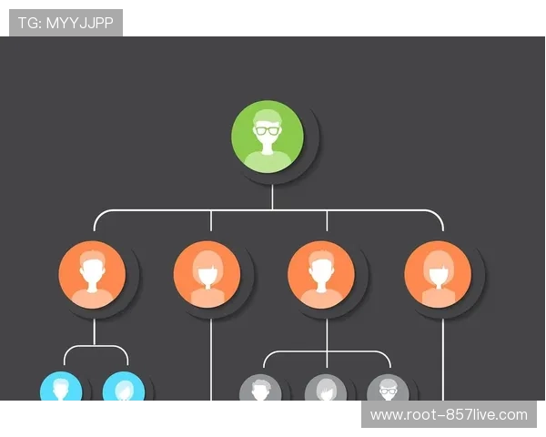 多层级授权体系的完善在当前市场环境下激活了区域性分销潜力